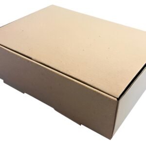 Caja 1 doc empanadas